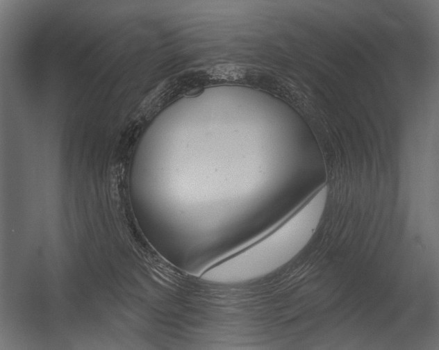 X0000054420229200507290934