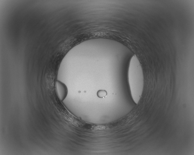 X0000054420230200507290934