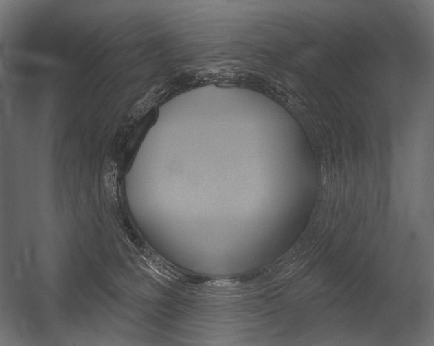 X0000054420231200507290934