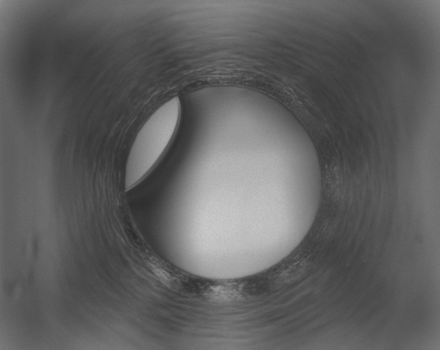 X0000054420232200507290934