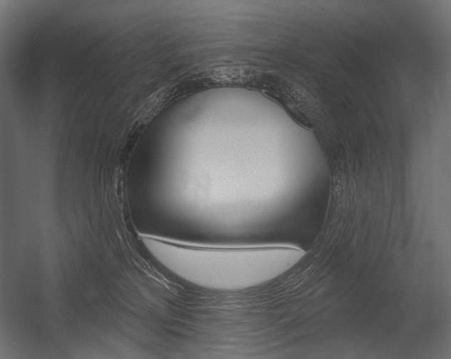 X0000054420233200507290934