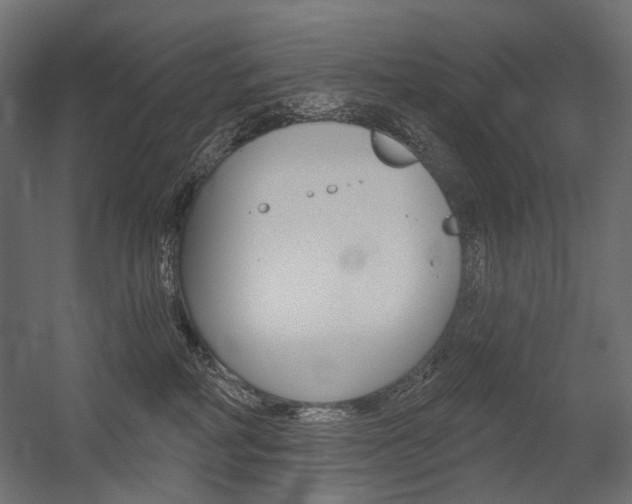 X0000054420234200507290934