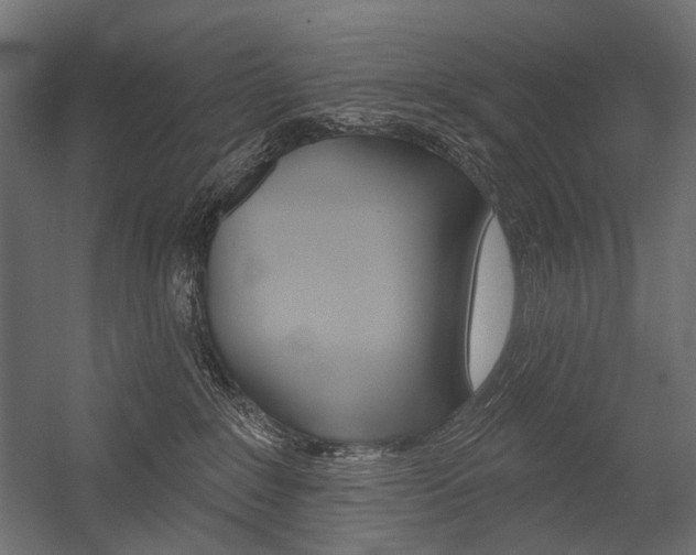 X0000054420235200507290934