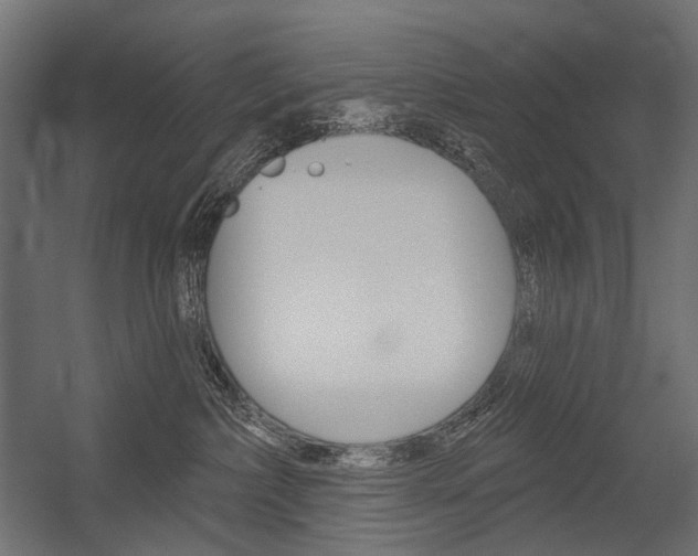 X0000054420236200507290934