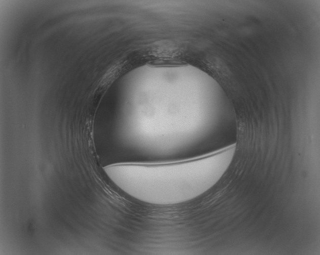 X0000054420237200507290934