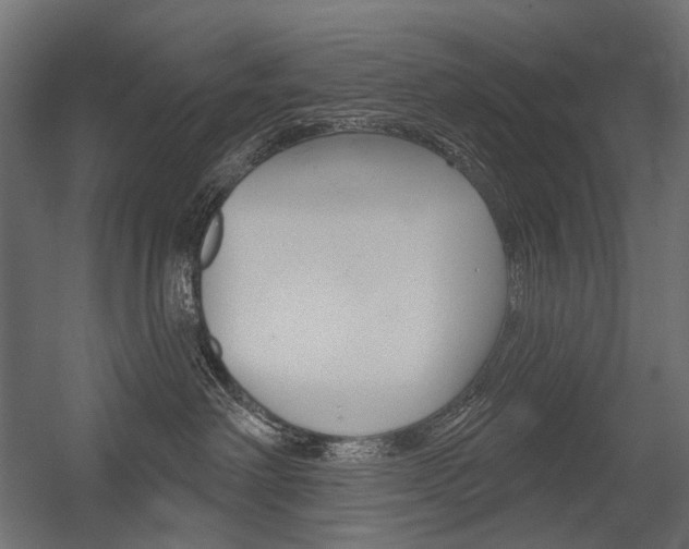 X0000054420238200507290934