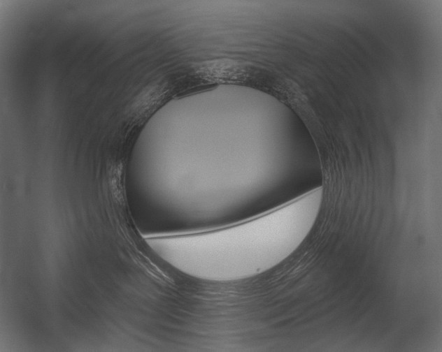 X0000054420239200507290934