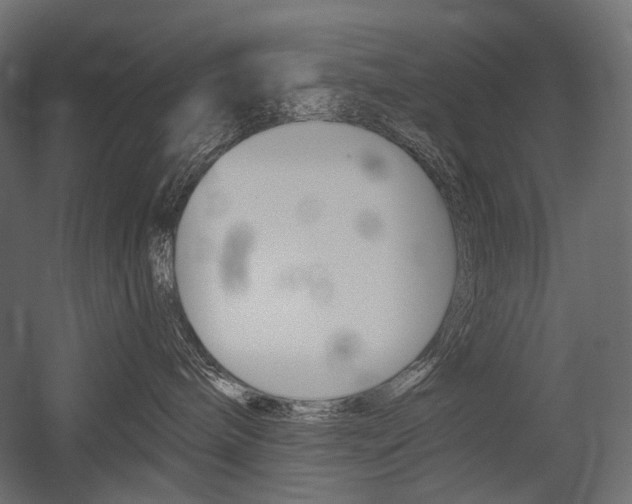 X0000054420240200507290934