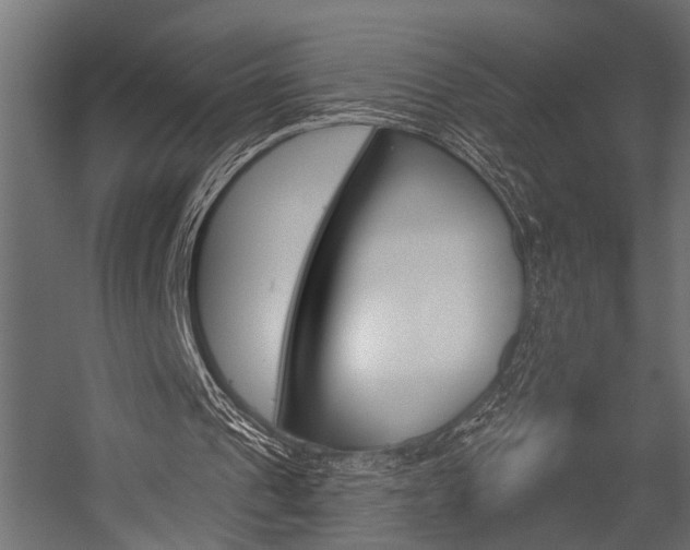 X0000054420241200507290933