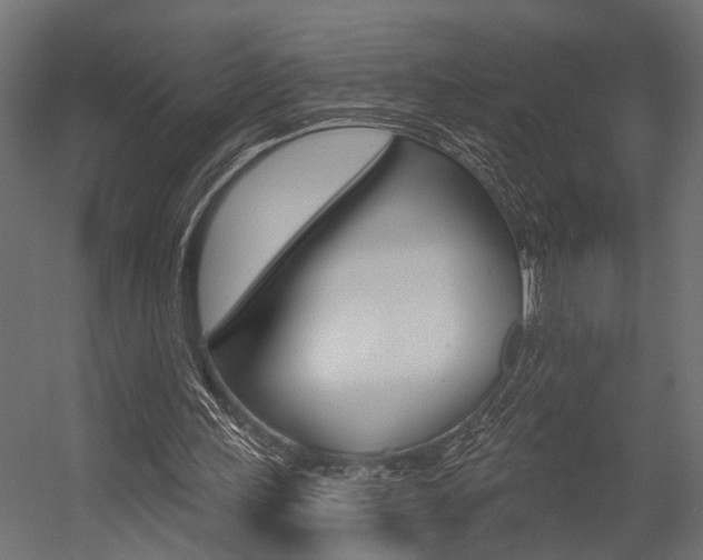 X0000054420243200507290933