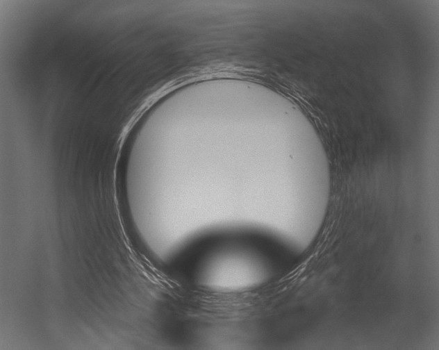 X0000054420244200507290933