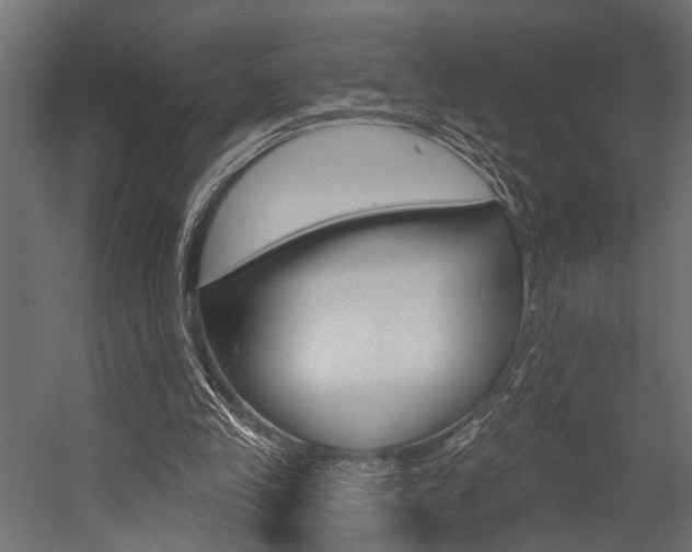 X0000054420245200507290933