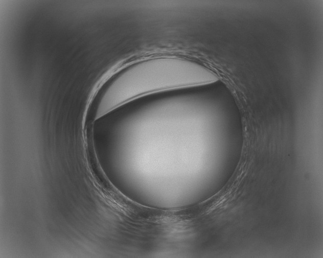 X0000054420246200507290933