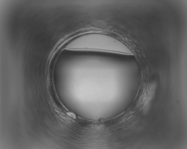 X0000054420247200507290933