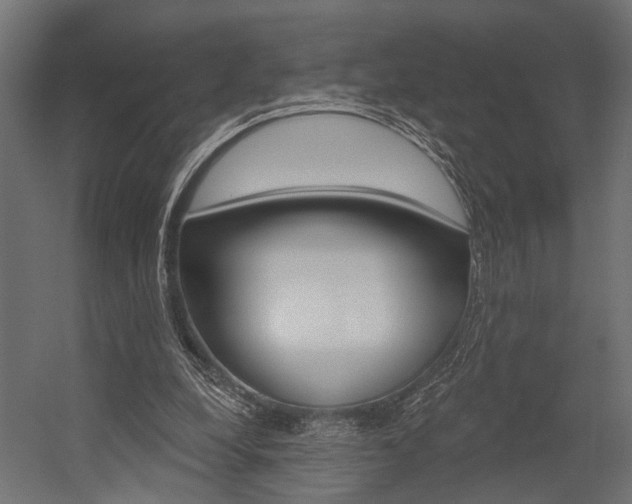 X0000054420248200507290933