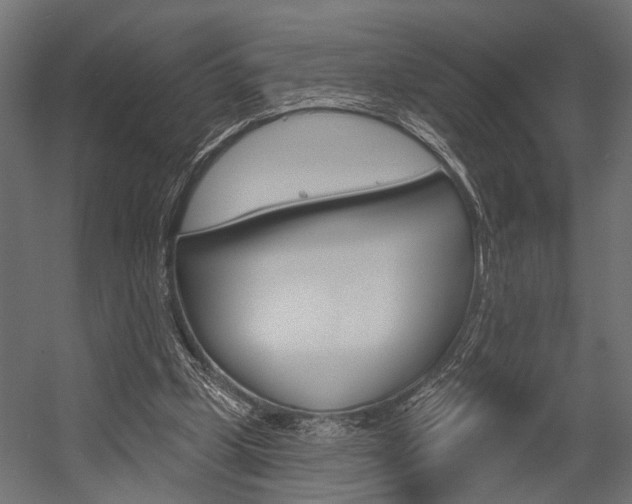 X0000054420249200507290933