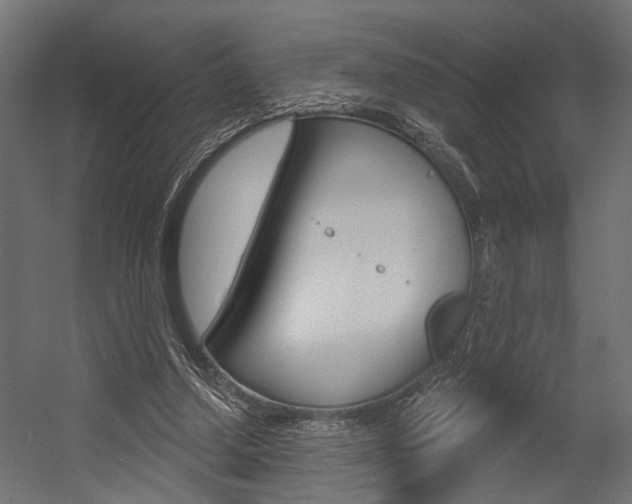 X0000054420250200507290933