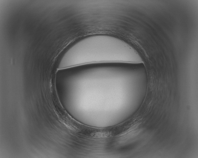 X0000054420251200507290933