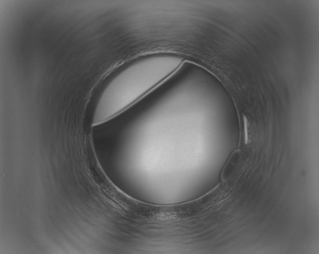 X0000054420252200507290933