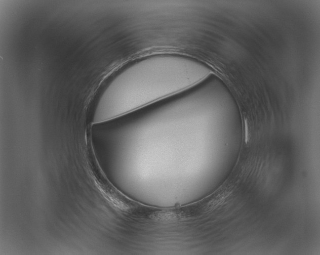 X0000054420253200507290933