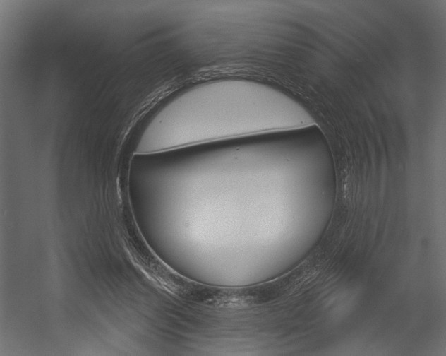 X0000054420254200507290933