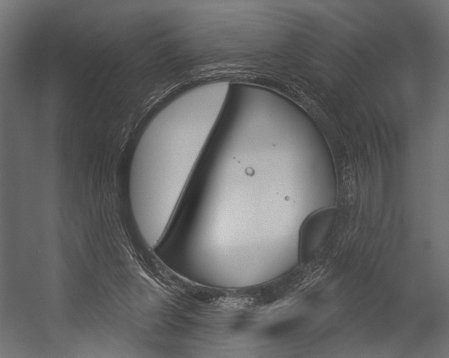 X0000054420255200507290933