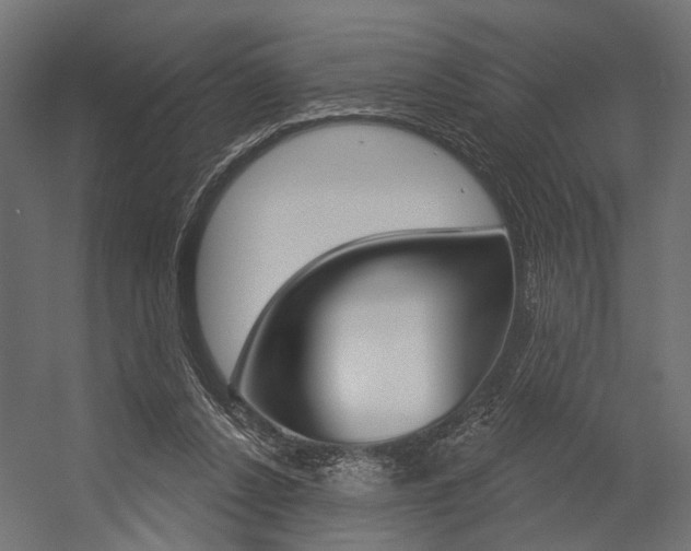 X0000054420256200507290933