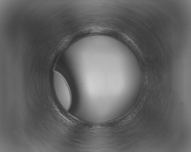 X0000054420257200507290933