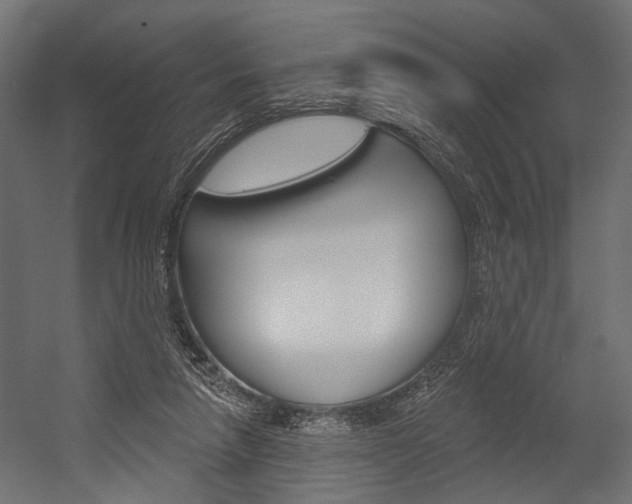 X0000054420258200507290933