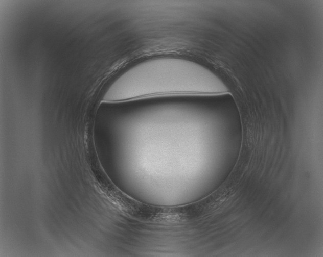 X0000054420260200507290933