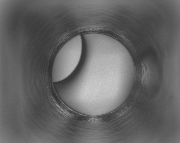 X0000054420261200507290933