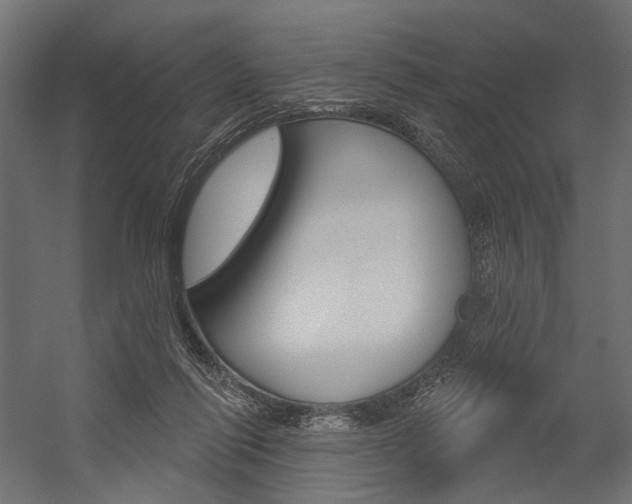 X0000054420262200507290933