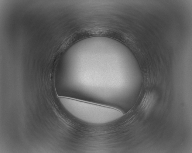 X0000054420263200507290933