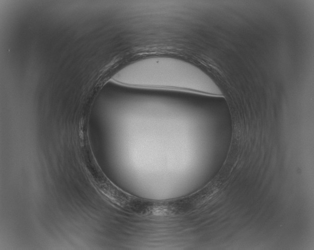 X0000054420264200507290933