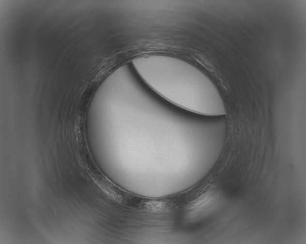 X0000054420265200507290933