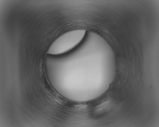 X0000054420266200507290933