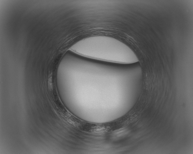 X0000054420267200507290933