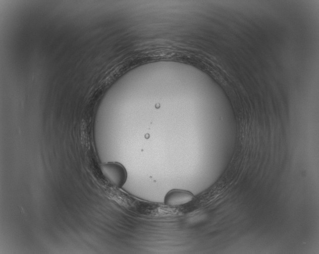 X0000054420270200507290933