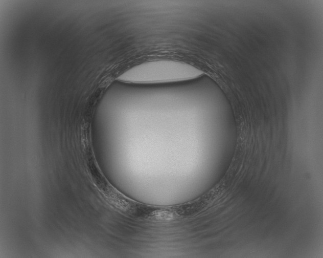 X0000054420272200507290934