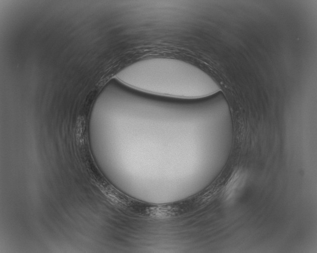 X0000054420273200507290934