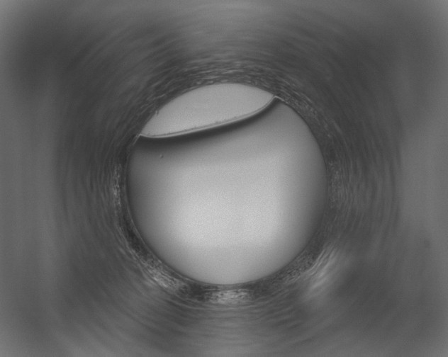 X0000054420274200507290934