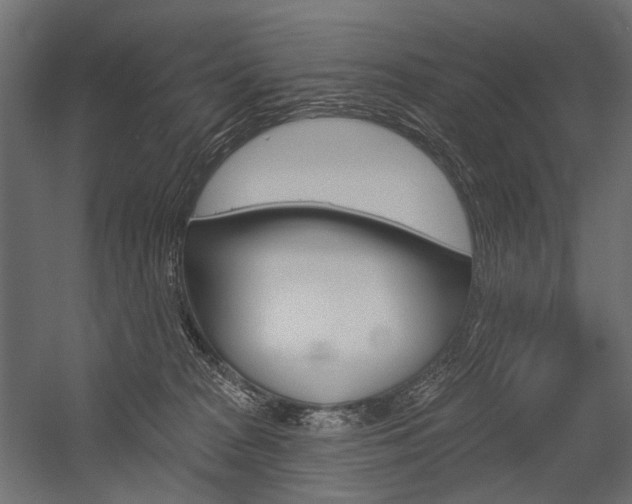 X0000054420277200507290934