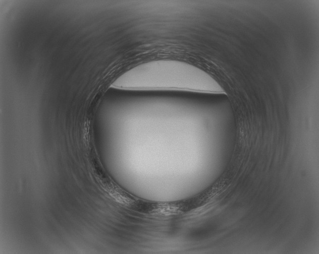 X0000054420278200507290934