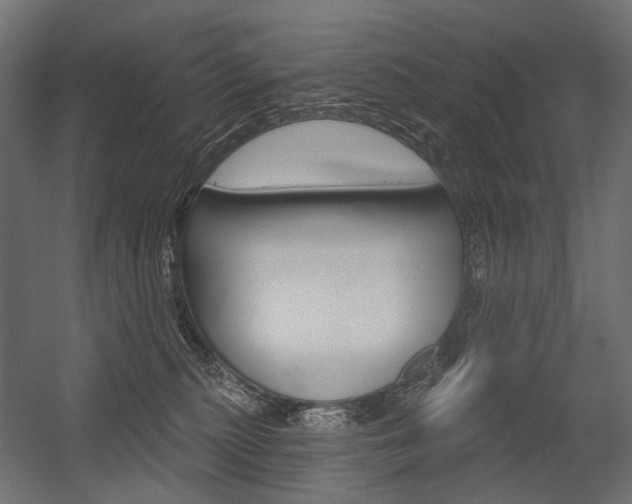 X0000054420279200507290934