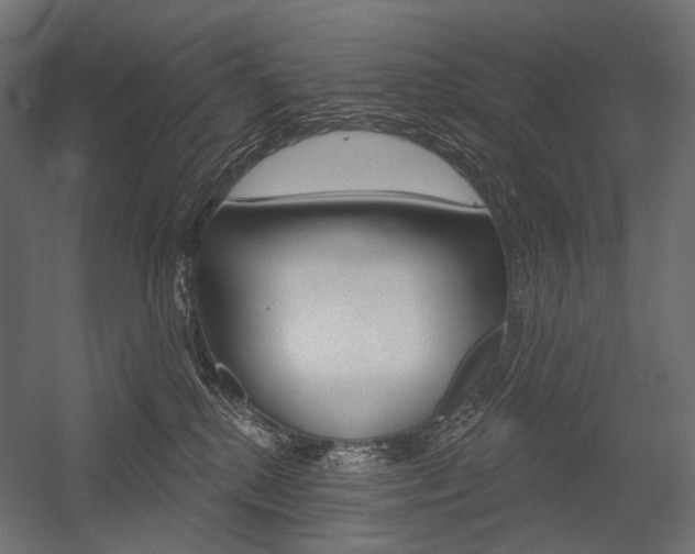 X0000054420280200507290934