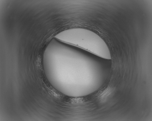 X0000054420281200507290934