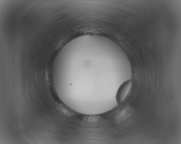 X0000054420282200507290934