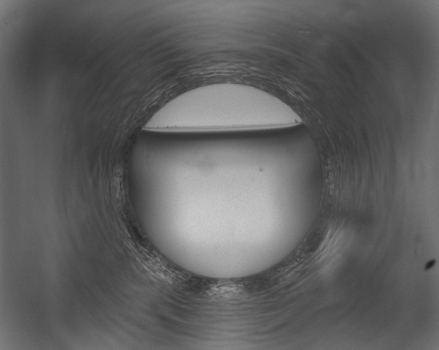 X0000054420283200507290934