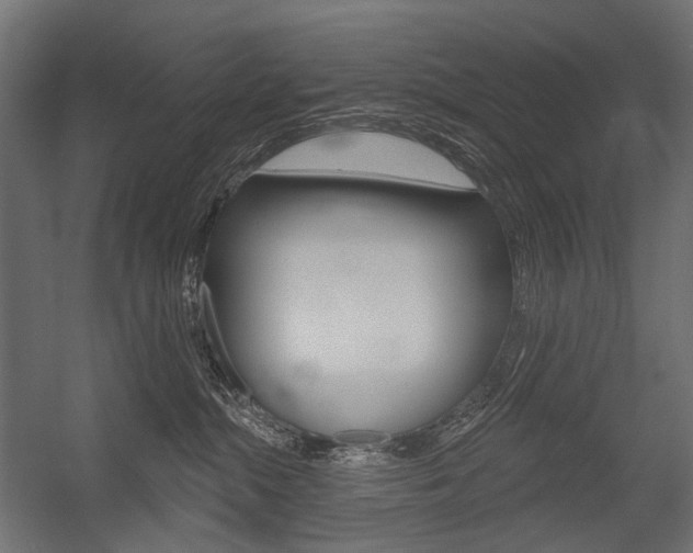 X0000054420284200507290934