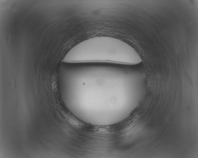 X0000054420285200507290934